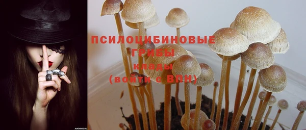 мяу мяу мука Михайлов