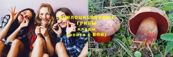 мяу мяу мука Михайлов