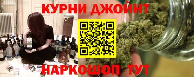 стаф Донской