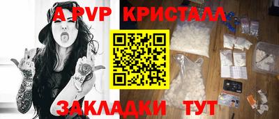 стаф Донской