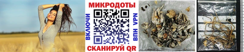 Галлюциногенные грибы MAGIC MUSHROOMS сайты даркнета формула Майкоп