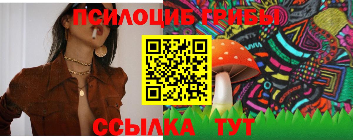 где купить наркоту  Псилоцибиновые грибы ЛСД  Псилоцибиновые грибы GOLDEN TEACHER  Вход с VPN  Майкоп 